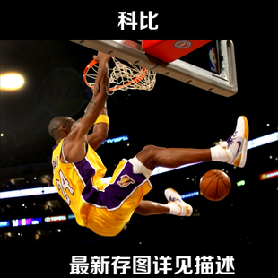 办理假内华达州出生证明
